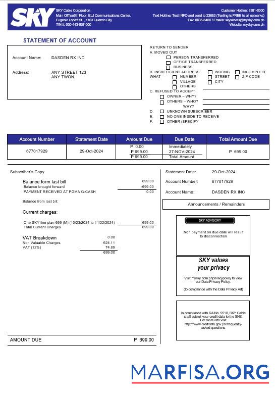 Blank Philippines Sky Cable Corporation business utility bill Word and PDF template (2)